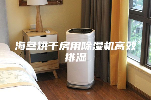 海參烘干房用除濕機高效排濕