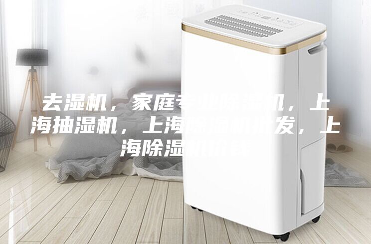 去濕機，家庭專業除濕機，上海抽濕機，上海除濕機批發，上海除濕機價錢
