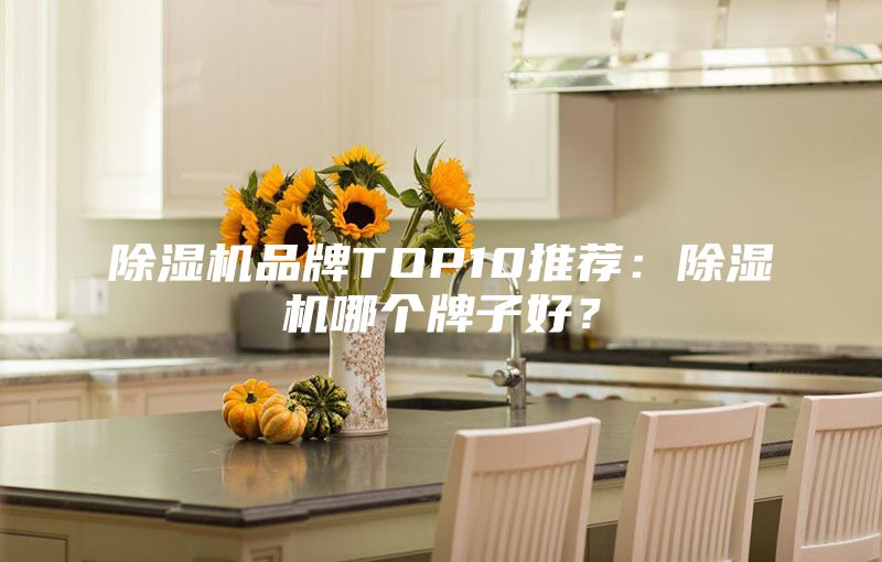除濕機品牌TOP10推薦:除濕機哪個牌子好?