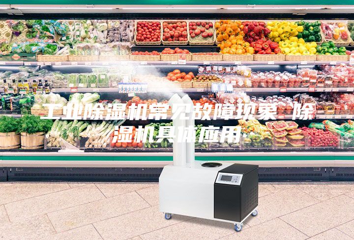 工業(yè)除濕機(jī)常見(jiàn)故障現(xiàn)象 除濕機(jī)具體應(yīng)用