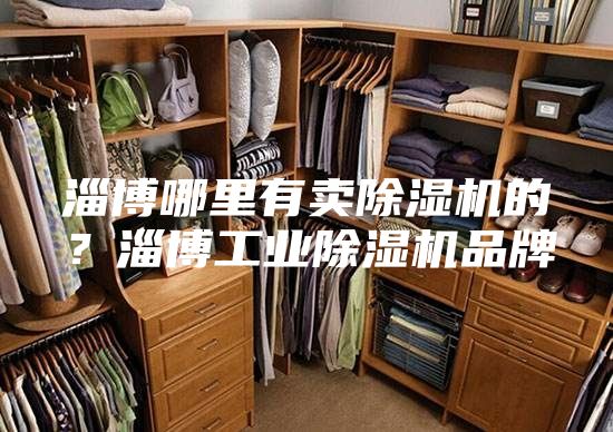 淄博哪里有賣除濕機的？淄博工業(yè)除濕機品牌