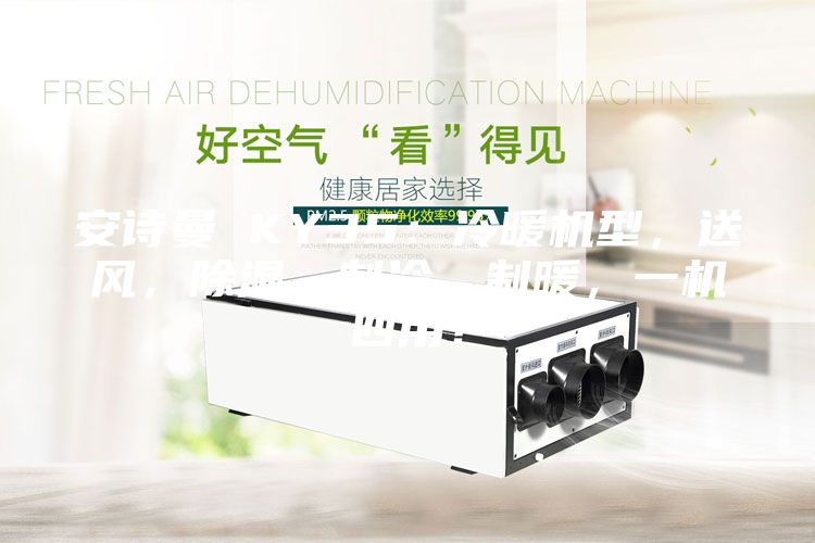 安詩(shī)曼 KY35：冷暖機(jī)型，送風(fēng)，除濕，制冷，制暖，一機(jī)四用！