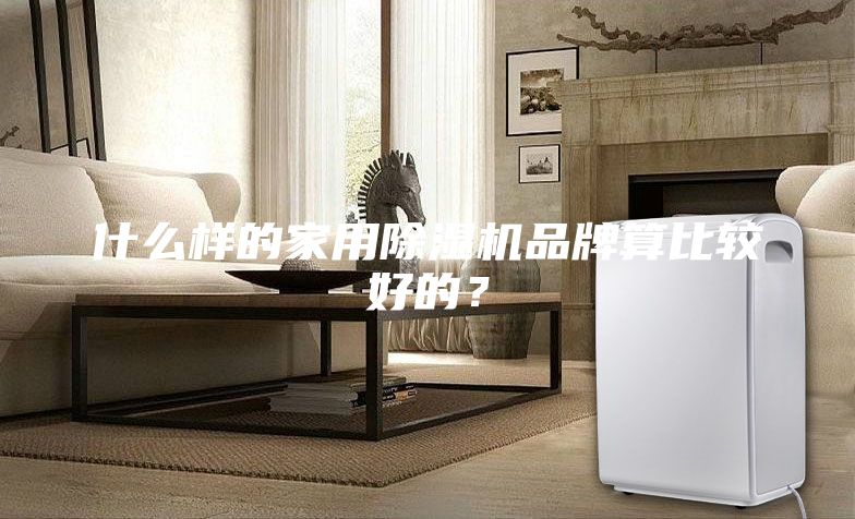 什么樣的家用除濕機(jī)品牌算比較好的?