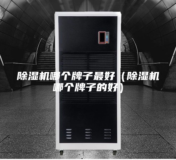 除濕機(jī)哪個牌子最好(除濕機(jī)哪個牌子的好)