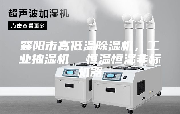 襄陽市高低溫除濕機，工業(yè)抽濕機  恒溫恒濕非標機器