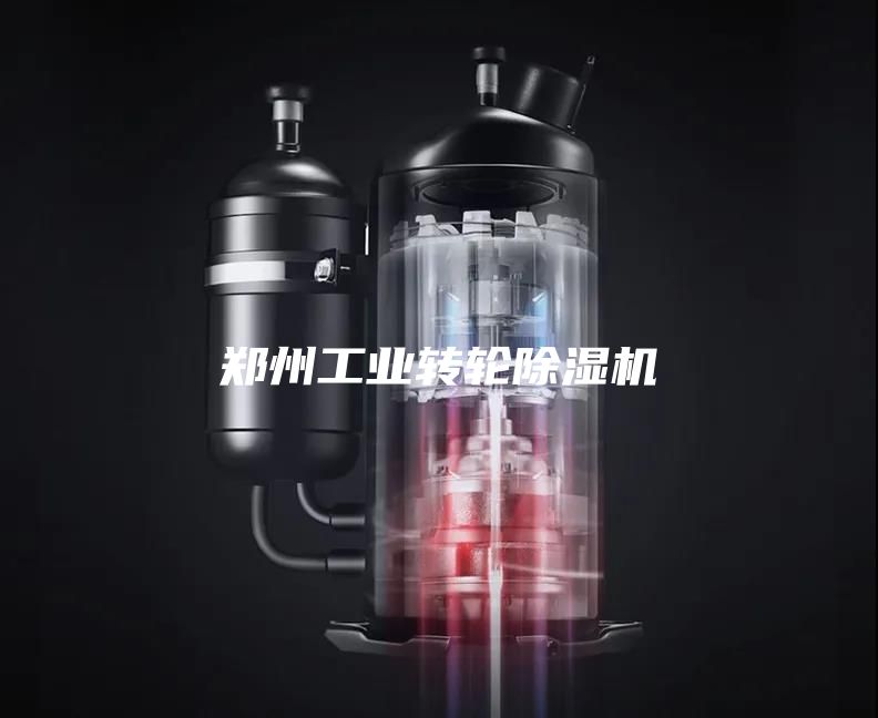 鄭州工業(yè)轉(zhuǎn)輪除濕機(jī)