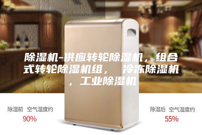 除濕機-供應(yīng)轉(zhuǎn)輪除濕機，組合式轉(zhuǎn)輪除濕機組， 冷凍除濕機，工業(yè)除濕機