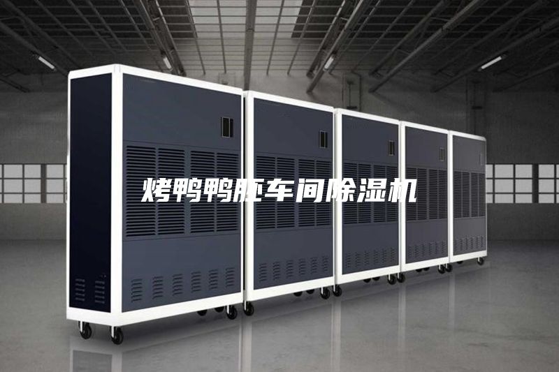 烤鴨鴨胚車(chē)間除濕機(jī)