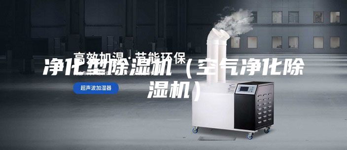 凈化型除濕機（空氣凈化除濕機）