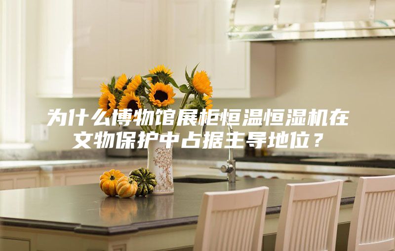 為什么博物館展柜恒溫恒濕機在文物保護中占據主導地位？