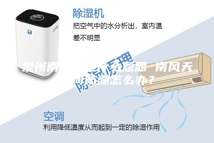 泉州南風(fēng)天是什么意思 南風(fēng)天如何防潮怎么辦？