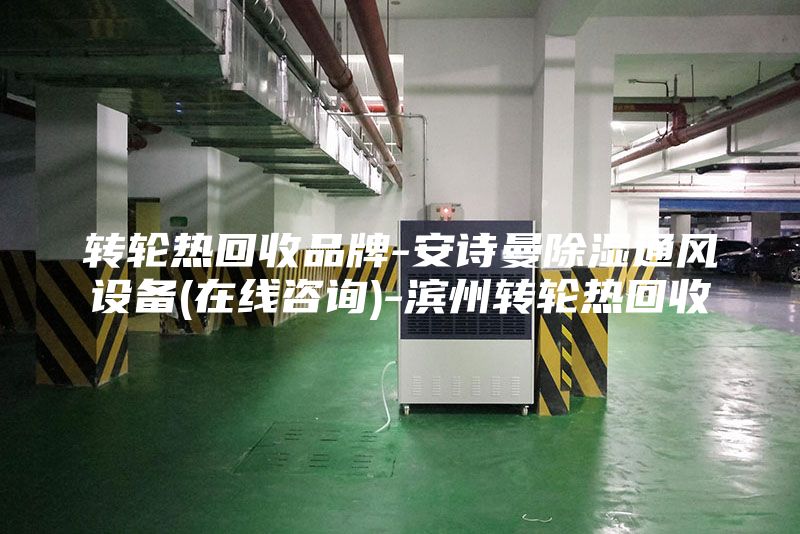 轉(zhuǎn)輪熱回收品牌-安詩曼除濕通風(fēng)設(shè)備(在線咨詢)-濱州轉(zhuǎn)輪熱回收