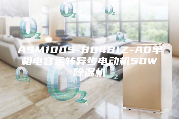 ASM1005-804BIZ-A0單相電容運轉(zhuǎn)異步電動機50W除濕機