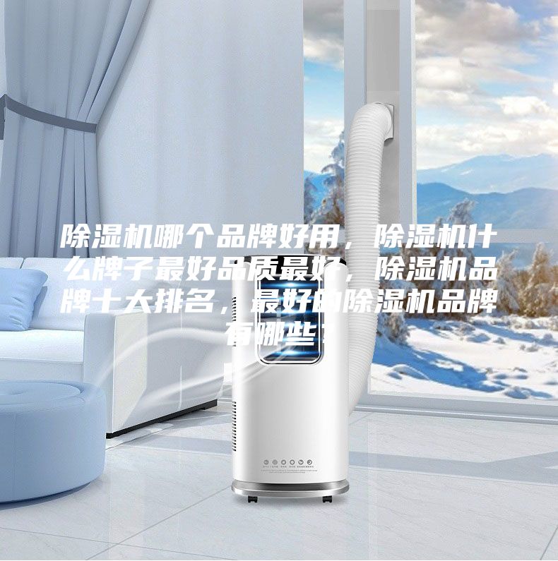 除濕機哪個品牌好用，除濕機什么牌子最好品質(zhì)最好，除濕機品牌十大排名，最好的除濕機品牌有哪些？