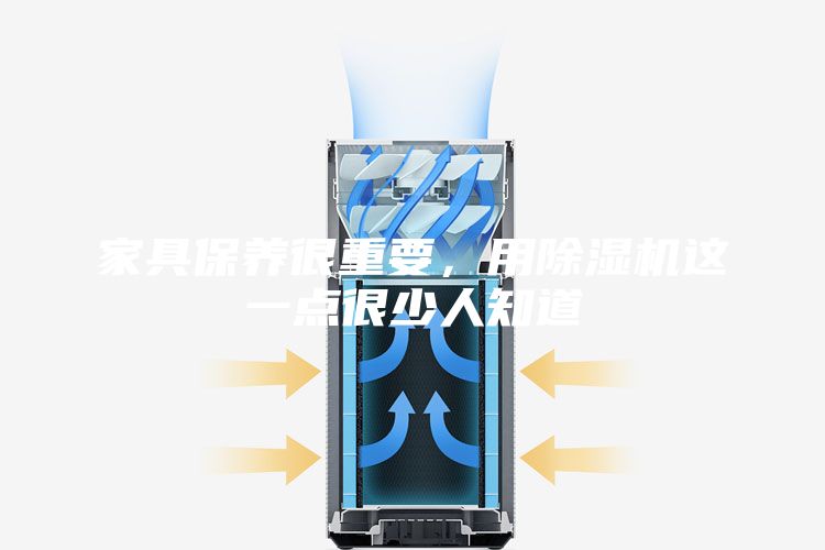 家具保養很重要,用除濕機這一點很少人知道