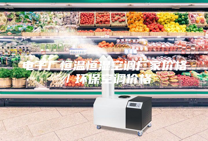 電子廠恒溫恒濕空調(diào)廠家價格/環(huán)保空調(diào)價格