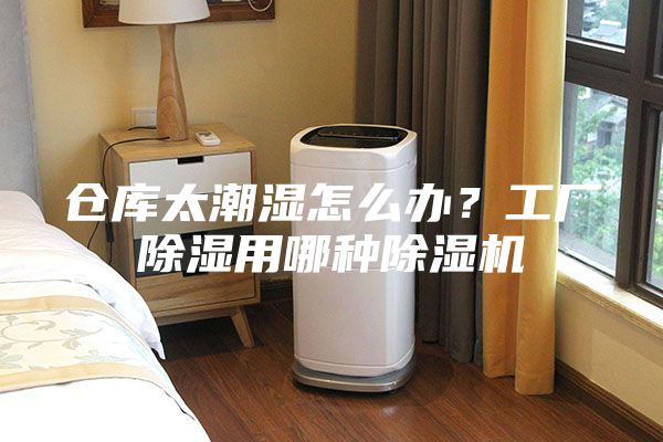 倉庫太潮濕怎么辦?工廠除濕用哪種除濕機