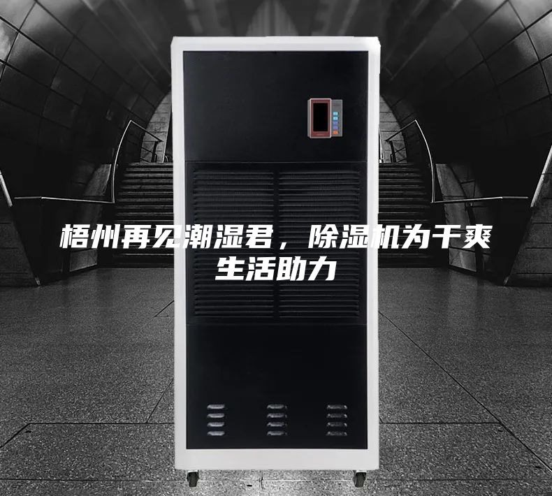 梧州再見潮濕君,除濕機為干爽生活助力