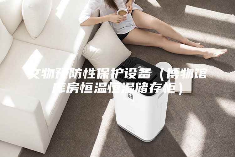 文物預(yù)防性保護(hù)設(shè)備（博物館庫(kù)房恒溫恒濕儲(chǔ)存柜）