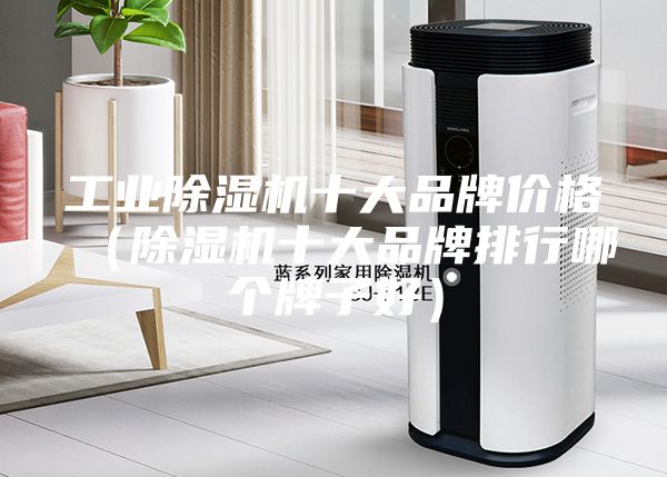 工業(yè)除濕機十大品牌價格（除濕機十大品牌排行哪個牌子好）