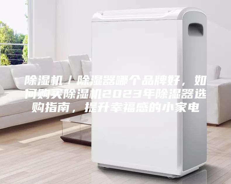 除濕機／除濕器哪個品牌好，如何購買除濕機2023年除濕器選購指南，提升幸福感的小家電