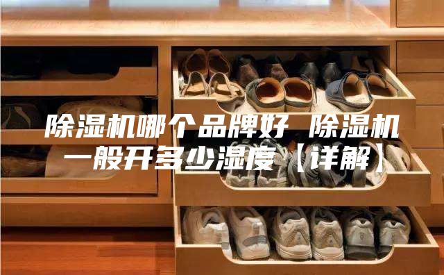 除濕機哪個品牌好 除濕機一般開多少濕度【詳解】