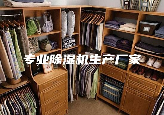 專(zhuān)業(yè)除濕機(jī)生產(chǎn)廠家