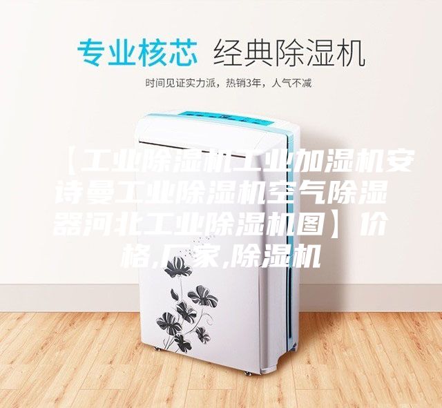 【工業(yè)除濕機(jī)工業(yè)加濕機(jī)安詩曼工業(yè)除濕機(jī)空氣除濕器河北工業(yè)除濕機(jī)圖】價(jià)格,廠家,除濕機(jī)