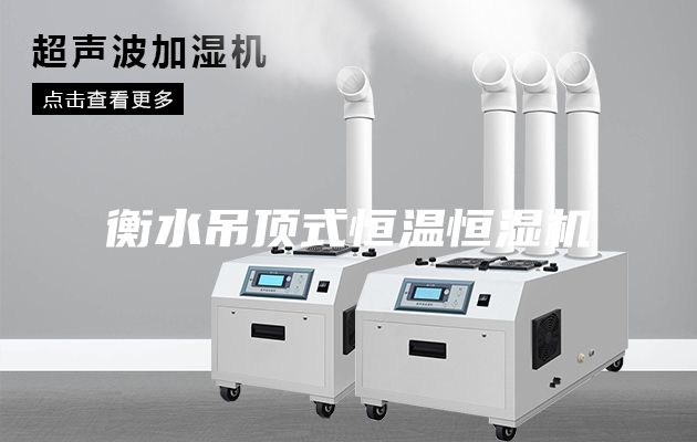 衡水吊頂式恒溫恒濕機(jī)