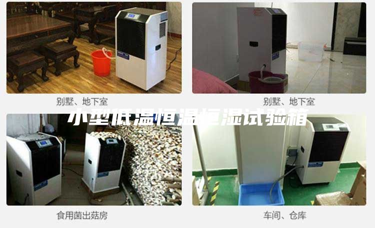 小型低溫恒溫恒濕試驗箱