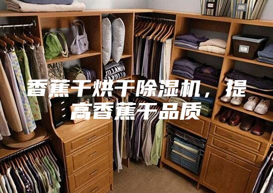 香蕉干烘干除濕機，提高香蕉干品質