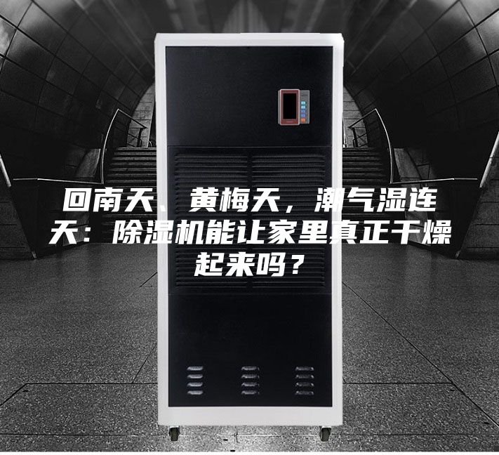 回南天、黃梅天，潮氣濕連天：除濕機(jī)能讓家里真正干燥起來(lái)嗎？