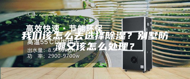 我們?cè)撛趺慈ミx擇除濕？別墅防潮又該怎么處理？