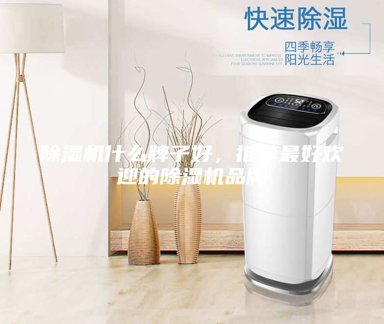 除濕機什么牌子好，推薦最好歡迎的除濕機品牌