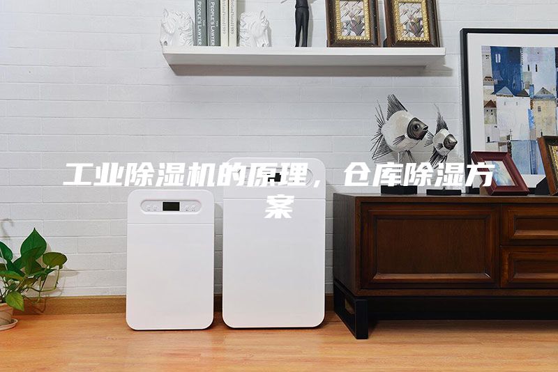 工業(yè)除濕機的原理,倉庫除濕方案