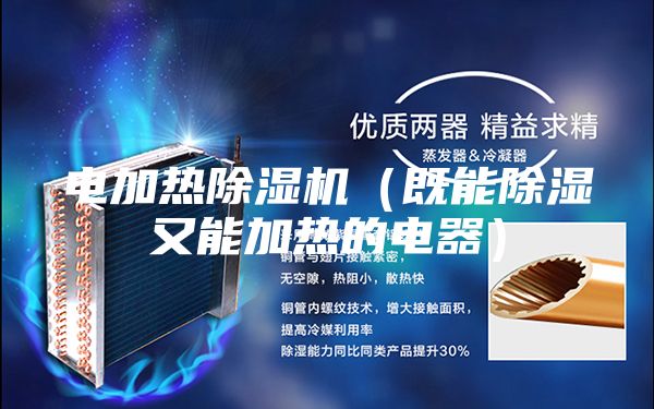 電加熱除濕機(既能除濕又能加熱的電器)