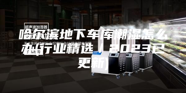 哈爾濱地下車庫潮濕怎么辦(行業(yè)精選／2023已更新)