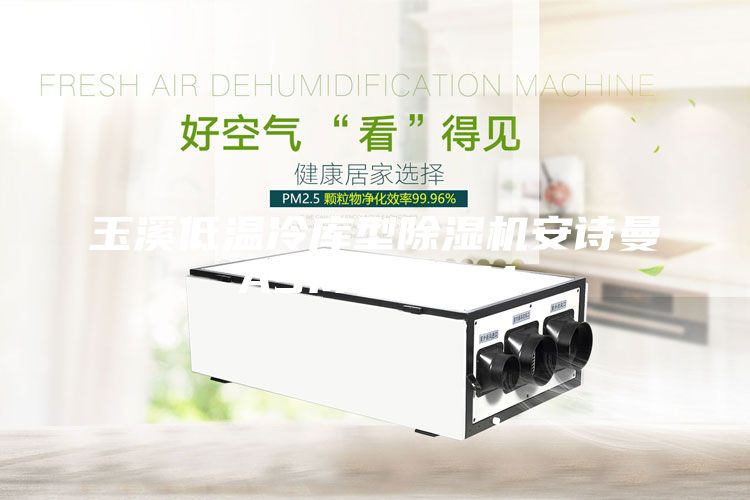 玉溪低溫冷庫型除濕機(jī)安詩曼ASM10ASM