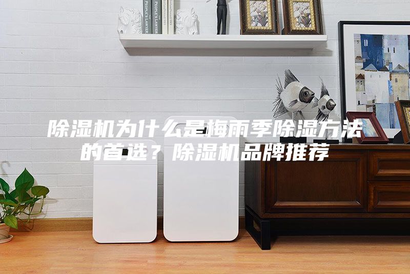 除濕機(jī)為什么是梅雨季除濕方法的首選?除濕機(jī)品牌推薦