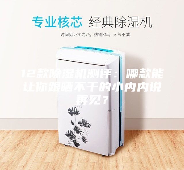 12款除濕機測評:哪款能讓你跟曬不干的小內內說再見?