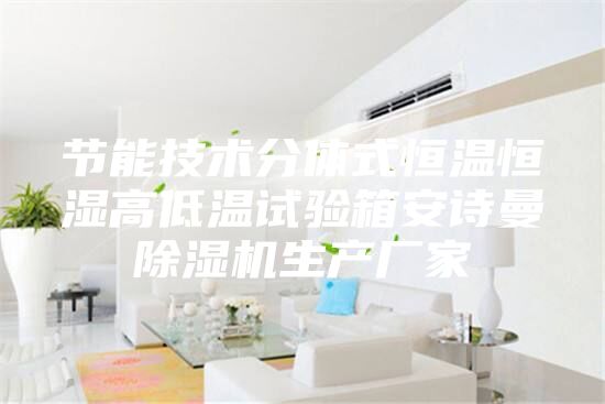 節(jié)能技術(shù)分體式恒溫恒濕高低溫試驗(yàn)箱安詩(shī)曼除濕機(jī)生產(chǎn)廠家