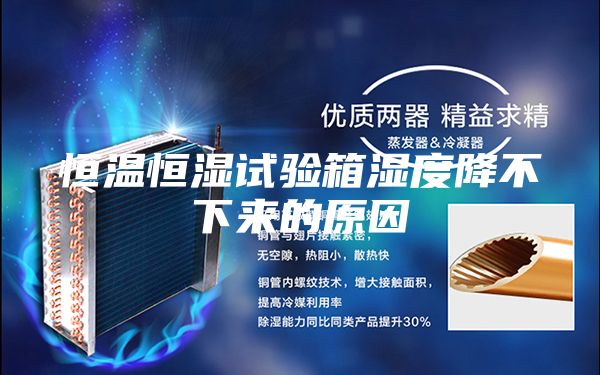 恒溫恒濕試驗(yàn)箱濕度降不下來的原因