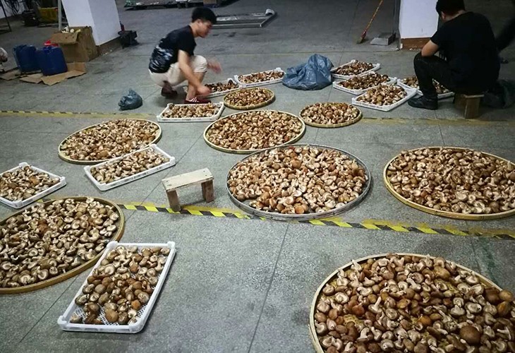 20190528161116_0983[1]